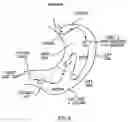 Fig. 04 - Method for in vivo sensing