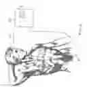 Fig. 07 - Apparatus and method for intravascular imaging