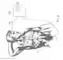Fig. 09 - Apparatus and method for intravascular imaging