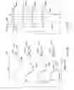 Fig. 16 - Systems and methods for ultrasound imaging