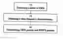 Fig. 01 - Method, apparatus and system for characterizing sleep