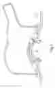 Fig. 05 - Skin massage device
