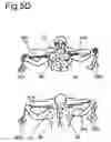 Fig. 15 - Portable multi-function exercise apparatus