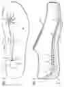 Fig. 03 - Therapeutic light treatment devices and methods