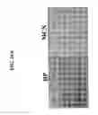 Fig. 13 - Method of treating skin ulcers using oxidative reductive potential water solution