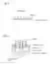 Fig. 07 - Microscopic-spots irradiating device applying a vacuum thereto