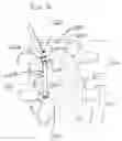 Fig. 07 - Facet joint stabilization