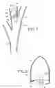 Fig. 05 - Intra-bronchial obstructing device that controls biological interaction with the patient