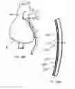 Fig. 43 - Instruments having an external working channel