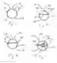 Fig. 06 - Balloon catheters and methods for manufacture