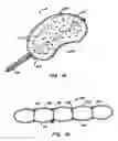 Fig. 07 - Cavity formation device