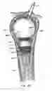 Fig. 09 - Cavity formation device