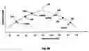 Fig. 09 - Adaptive cardiac resynchronization therapy system