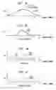 Fig. 09 - Determining stimulation signals for neural stimulation