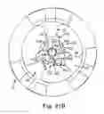 Fig. 19 - Prosthetic heart valve system