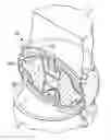 Fig. 01 - Composite structure for biomedical implants