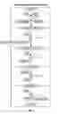 Fig. 09 - System reconstruction: integrative analysis of biological data