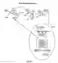 Fig. 49 - System reconstruction: integrative analysis of biological data