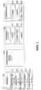 Fig. 04 - Customized processing in association with finite element analysis