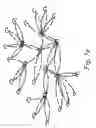 Fig. 07 - Methods of visualizing graphs