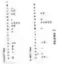 Fig. 03 - Fundamental pattern discovery using the position indices of symbols in a sequence of symbols