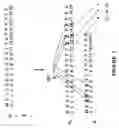 Fig. 06 - Fundamental pattern discovery using the position indices of symbols in a sequence of symbols