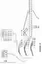 Fig. 14 - Identifying patterns of symbols in sequences of symbols using a binary array representation of the sequence