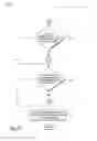 Fig. 09 - Contemporaneous symbolic and numeric presentation