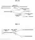 Fig. 13 - Web service processing apparatus and method