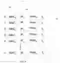 Fig. 05 - Methods And Sytems For Resolving Internet Protocol (IP) Address Conflicts Using Agents For A Zero Configuration Network