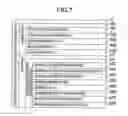 Fig. 07 - Encryption method for SIP message and encrypted SIP communication system