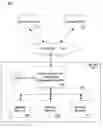 Fig. 01 - Method and system for device registration within a digital rights management framework