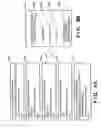 Fig. 09 - Information processing apparatus and method thereof