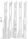 Fig. 03 - Apparatuses and methods for checking integrity of transmission data