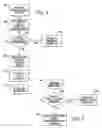 Fig. 04 - Error detection, documentation, and correction in a flash memory device