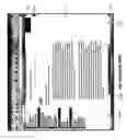Fig. 06 - Multiple-panel scrolling