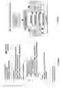 Fig. 08 - Automatically boosting the software content of system LSI designs