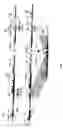 Fig. 08 - Genetically modified non-human mammals and cells