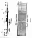 Fig. 10 - Genetically modified non-human mammals and cells