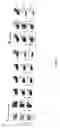 Fig. 17 - Genetically modified non-human mammals and cells