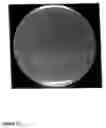 Fig. 11 - Nucleic acid molecules encoding starch degrading enzymes