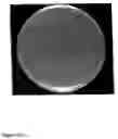 Fig. 14 - Nucleic acid molecules encoding starch degrading enzymes
