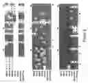 Fig. 09 - Manipulation of cellulose and/or beta-1,4-glucan