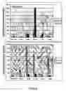 Fig. 04 - Methods and compositions for producing male sterile plants