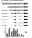 Fig. 18 - Moss expressing promoting regions