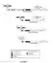 Fig. 05 - Chimeric plant promoters and plants containing the same