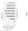 Fig. 10 - Chimeric plant promoters and plants containing the same