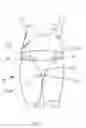 Fig. 02 - Garment
