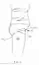 Fig. 03 - Garment