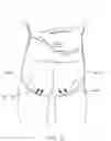 Fig. 04 - Garment